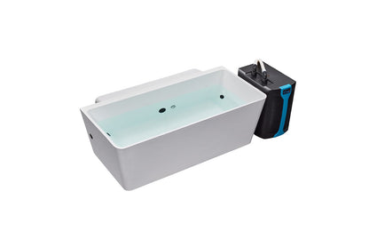 Cold Plunge I Pro Therapy Tub - White