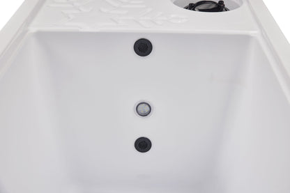 Luxury Spas 1 Person Cold Plunge All in - White