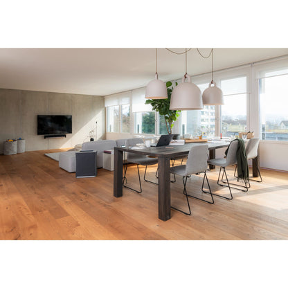 Roger Big - Stadler Form Air Cleaner for Big Spaces