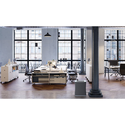 Roger Big - Stadler Form Air Cleaner for Big Spaces