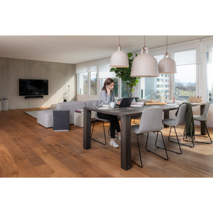 Roger - Stadler Form Air Purifier