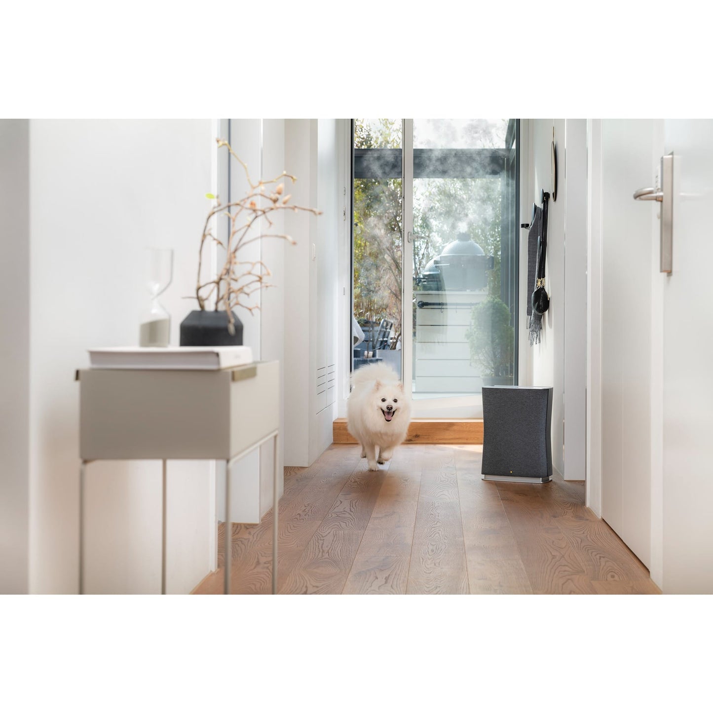 Roger Little - Stadler Form Air Cleaner for Smaller Spaces