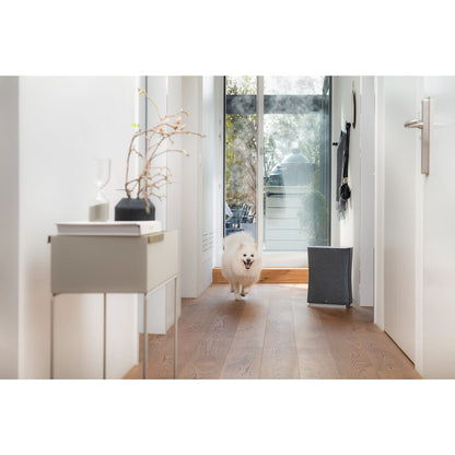 Roger Little - Stadler Form Air Cleaner for Smaller Spaces
