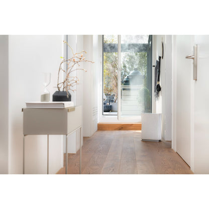 Roger Little - Stadler Form Air Cleaner for Smaller Spaces