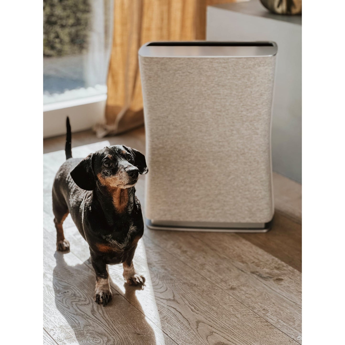 Roger Little - Stadler Form Air Cleaner for Smaller Spaces