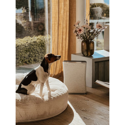 Roger Little - Stadler Form Air Cleaner for Smaller Spaces