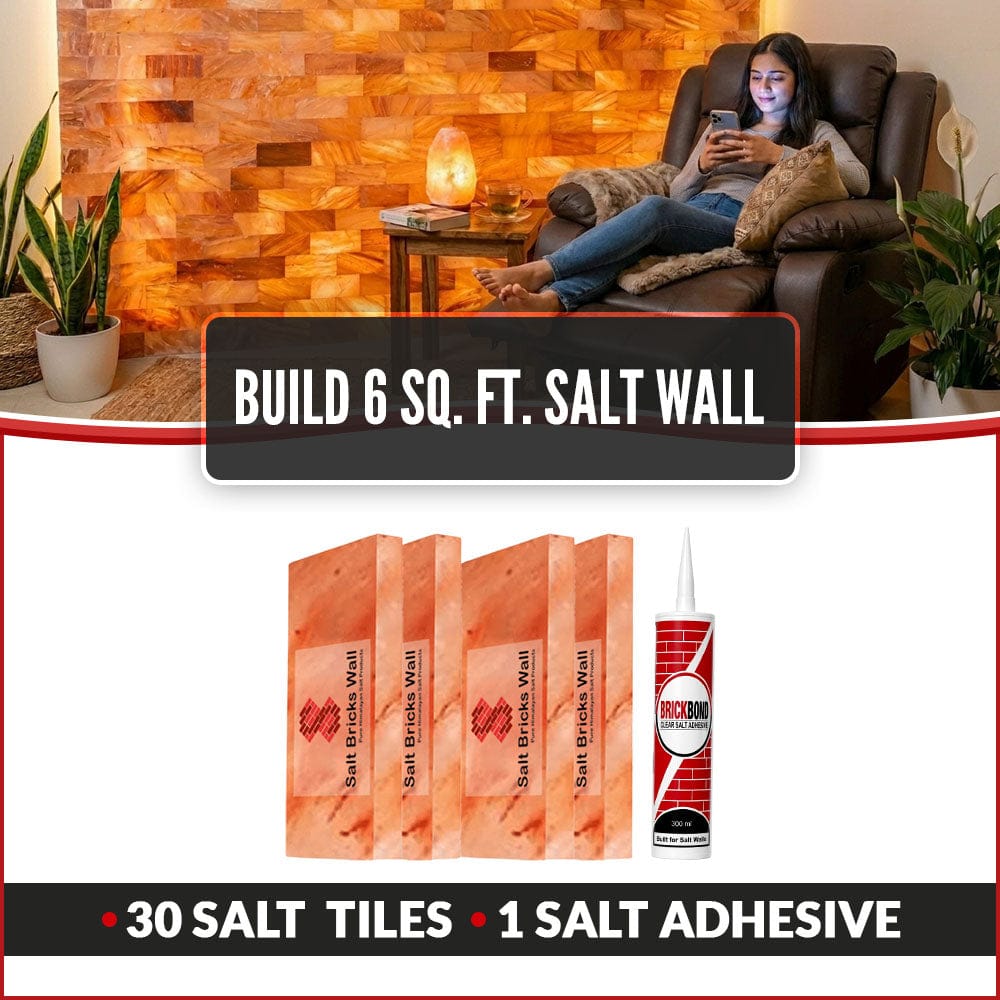 Build 6 Sq. Ft. Salt Wall 30 Bricks 1 Salt Adhesive