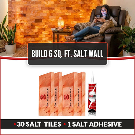 Build 6 Sq. Ft. Salt Wall 30 Bricks 1 Salt Adhesive