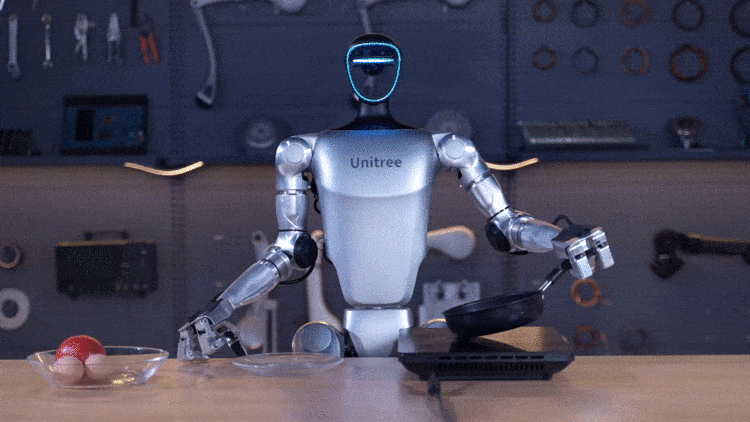 Unitree G1 Humanoid Robot
