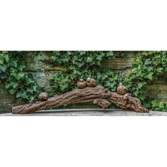 Birds on a Branch