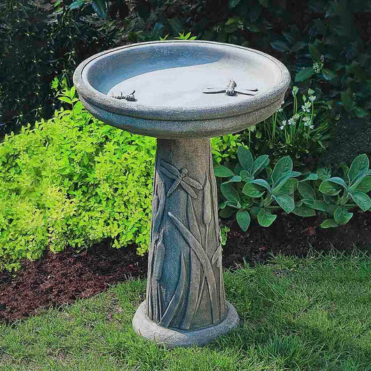 Dragonfly Birdbath
