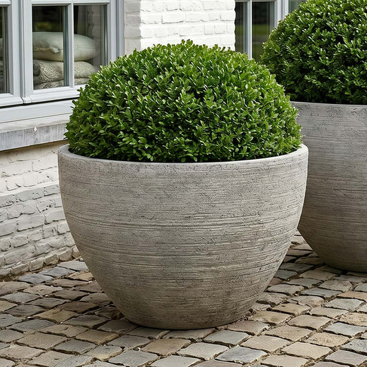 Campania International Nori Planter - P-1023