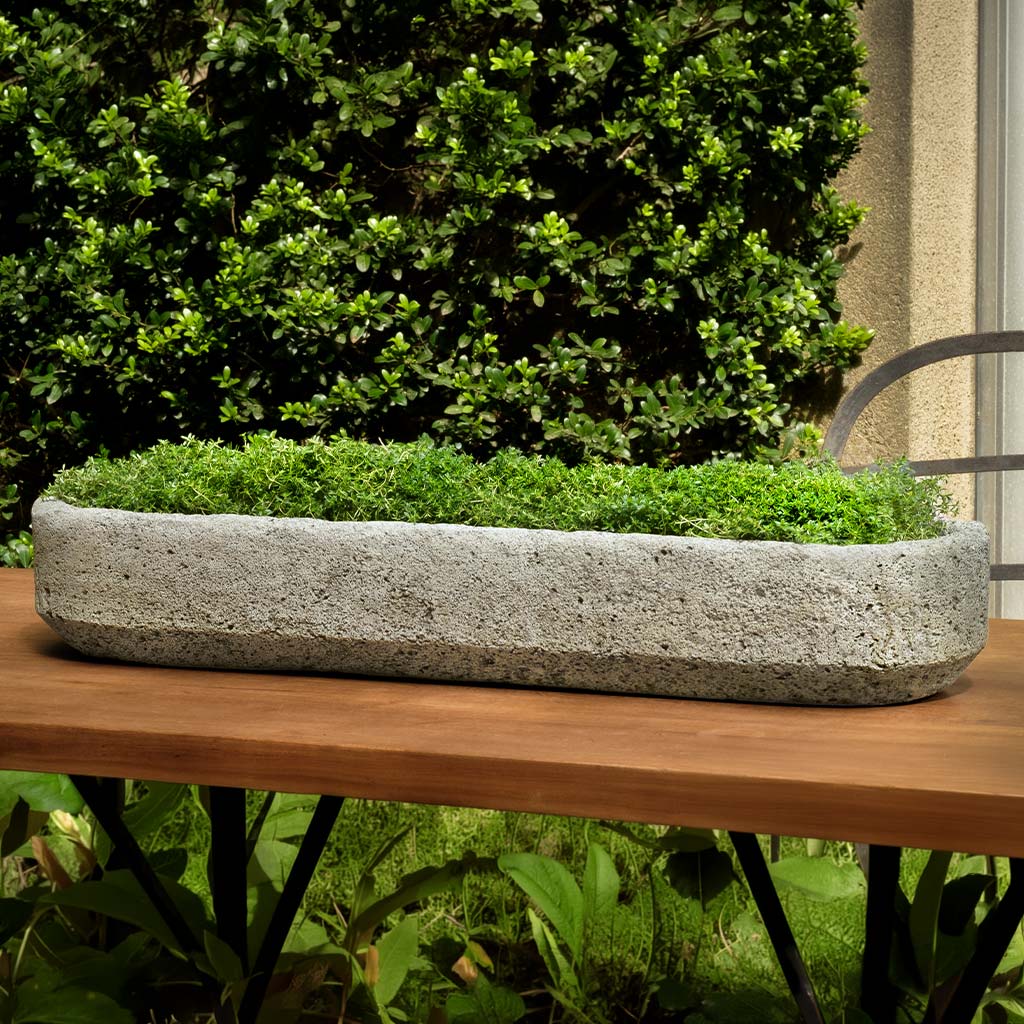 Campania International Peniche Planter - P-1040