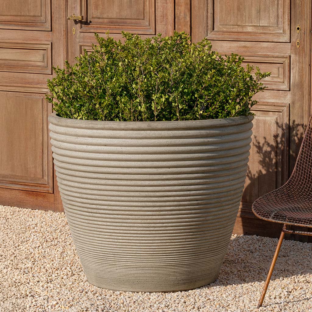 Campania International Bibendum Planter, Low Large - P-993