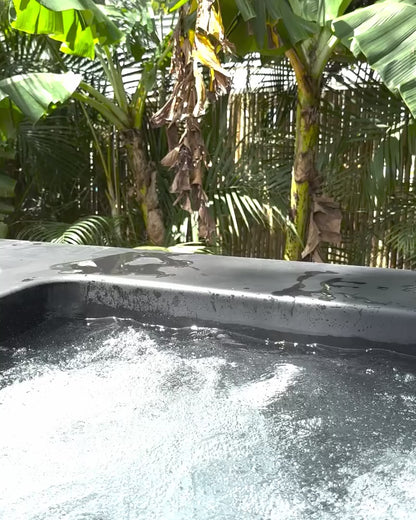 Aquavoss AV-2 Hot and Cold Plunge
