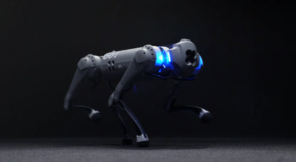 Unitree Go1 Robot Air