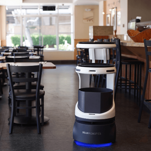 Servi - The Service Robot