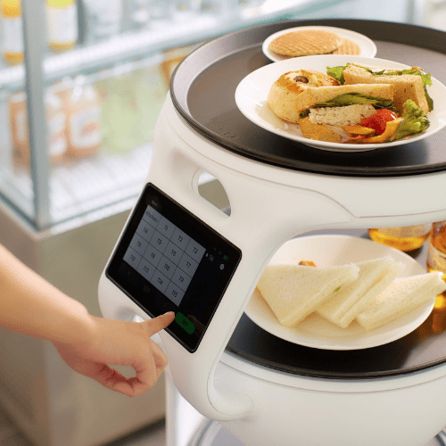 Servi - The Service Robot