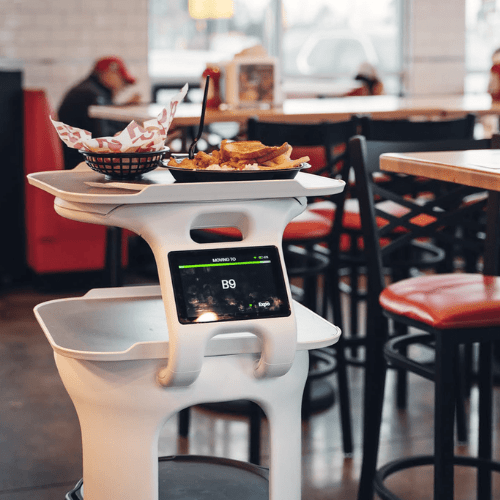 Servi - The Service Robot