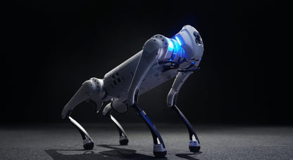 Unitree Go1 Robot Air