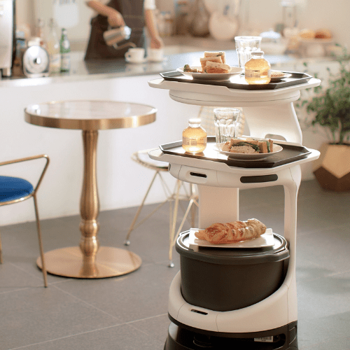 Servi - The Service Robot