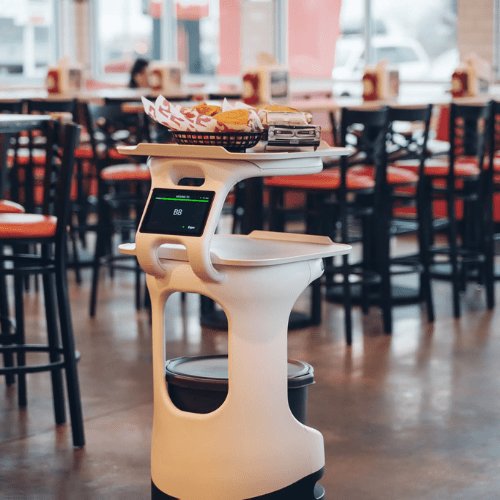 Servi - The Service Robot