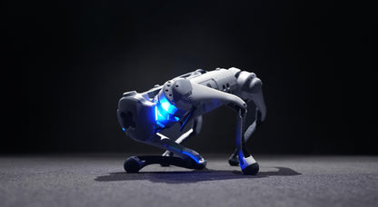 Unitree Go1 Robot Air