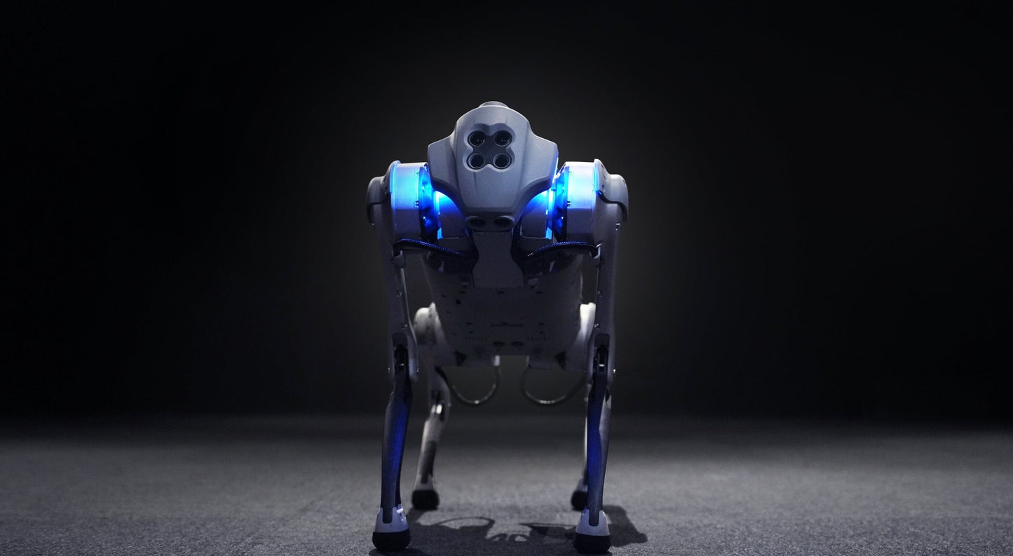 Unitree Go1 Robot Pro