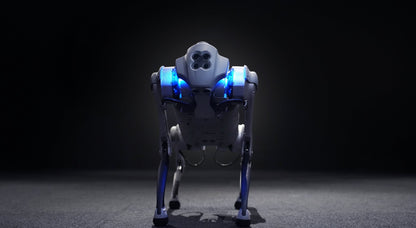 Unitree Go1 Robot Air