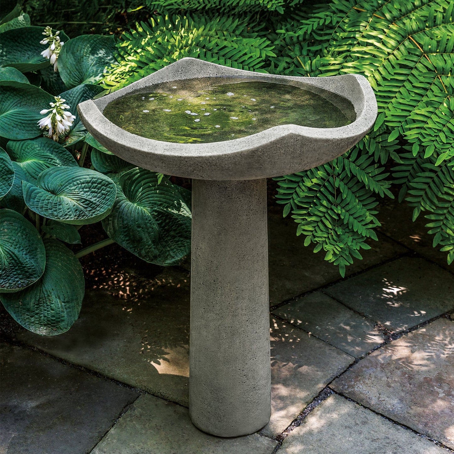 Campania International Oslo Birdbath, Large - B-188