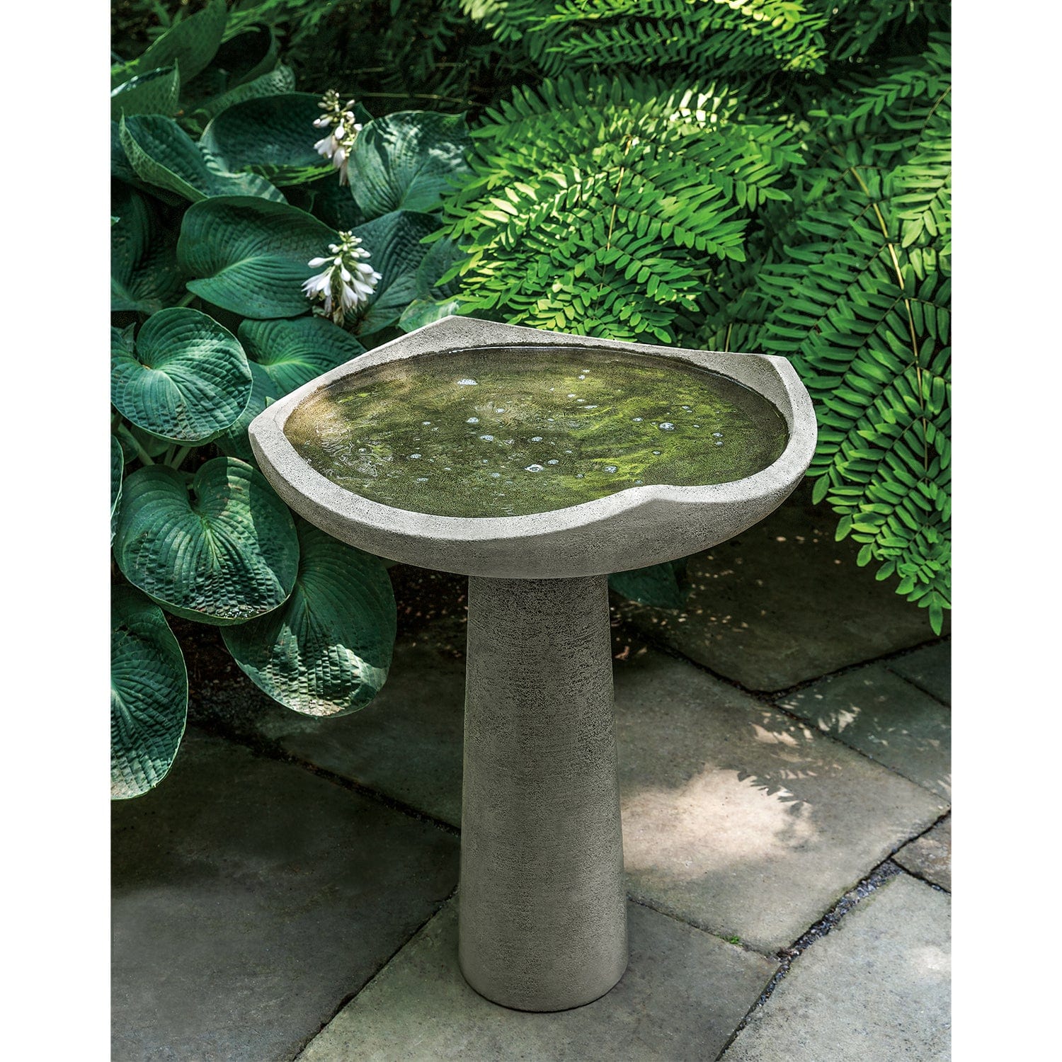 Campania International Oslo Birdbath, Medium - B-189 – Airpuria